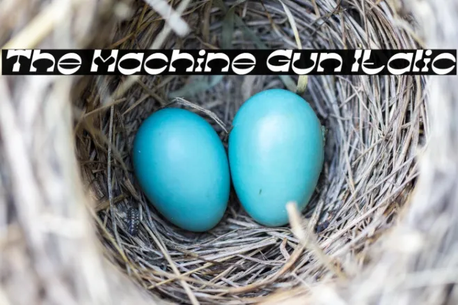 The Machine Gun Italic Example 2