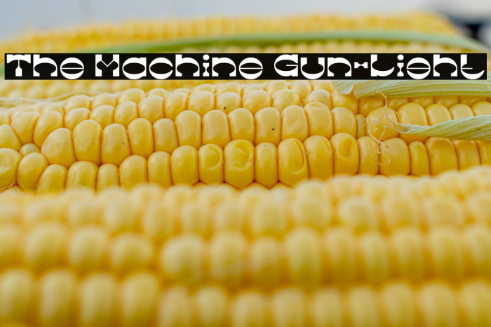 The Machine Gun-Light Example 3