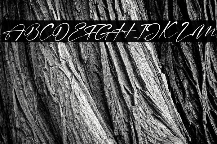 The Magestica Italic Example 1