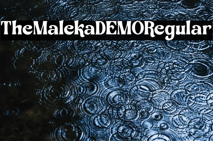The Maleka DEMO Regular Example 1