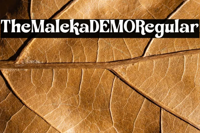The Maleka DEMO Regular Example 2