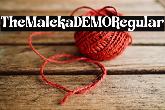 The Maleka DEMO Regular Example 3