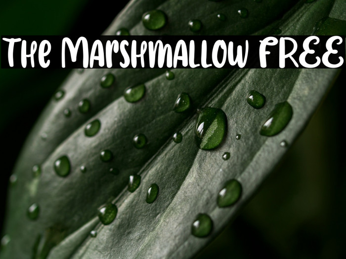 The Marshmallow FREE Example 1