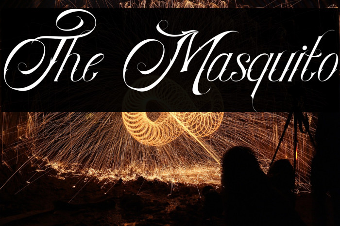 The Masquito Example 1