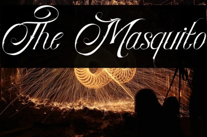 The Masquito Example 1