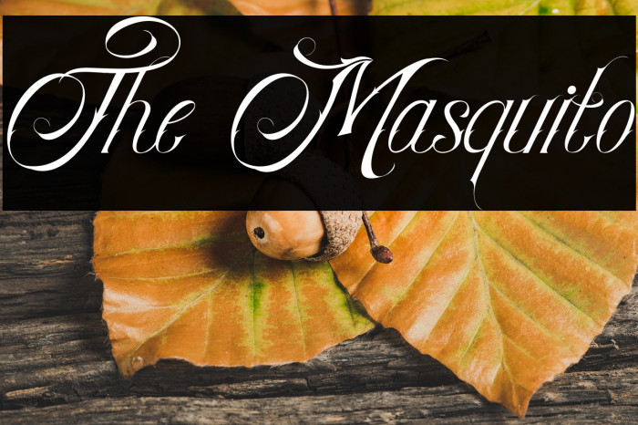 The Masquito Example 2