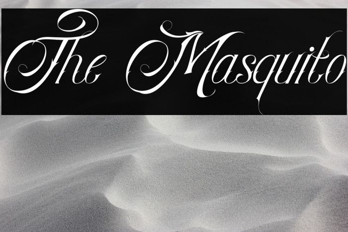 The Masquito Example 3