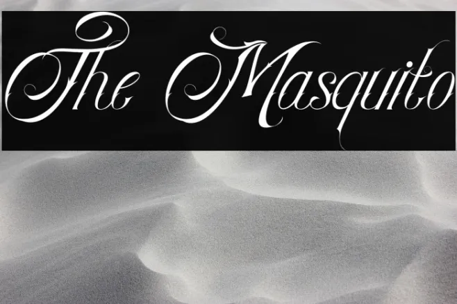 The Masquito Example 3