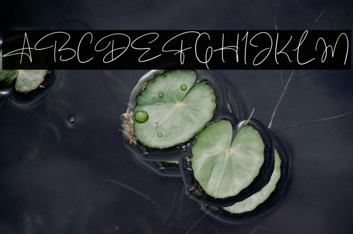 The Mastah Example 3