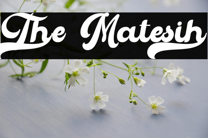 The Matesih Example 3