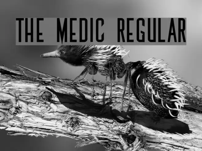 The Medic Regular Font examples