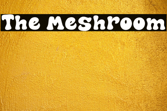 The Meshroom Example 1