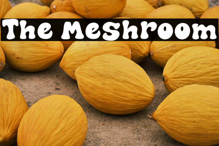 The Meshroom Example 2