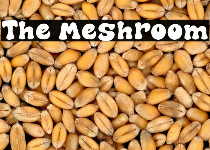 The Meshroom Example 3