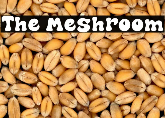 The Meshroom Example 3