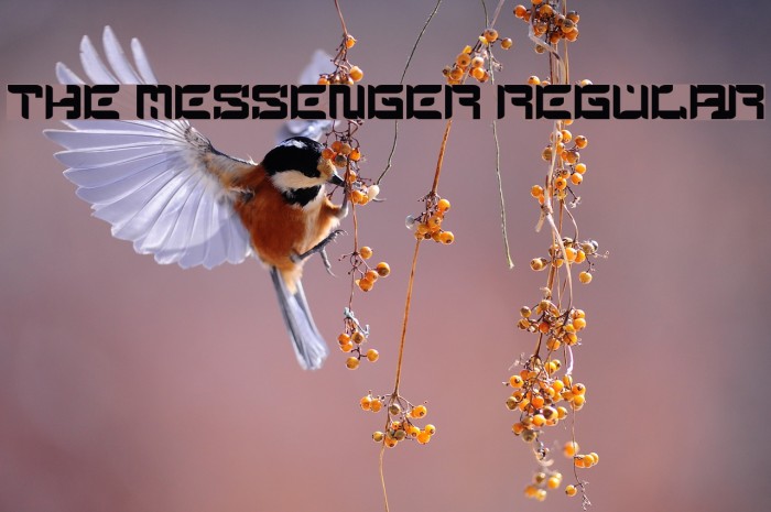 The Messenger Regular Example 3