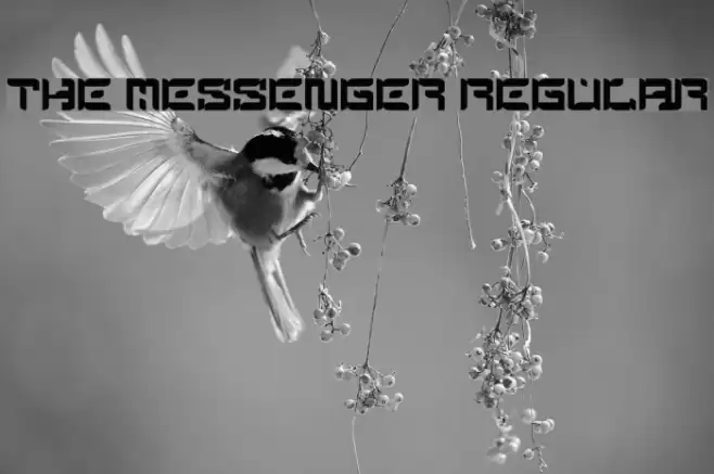 The Messenger Regular Font examples