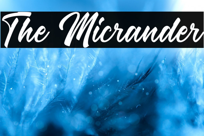 The Micrander Example 1