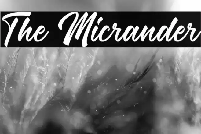 The Micrander Font examples