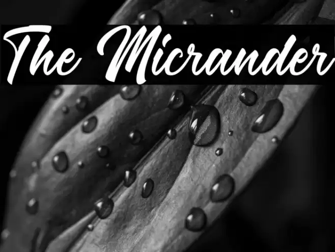 The Micrander Font examples