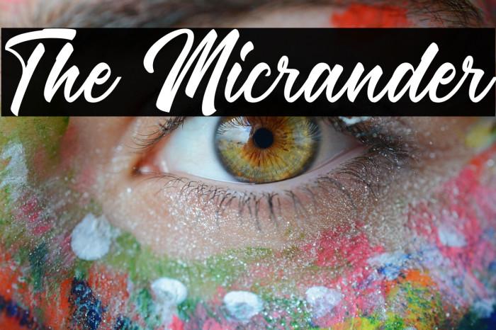 The Micrander Example 3