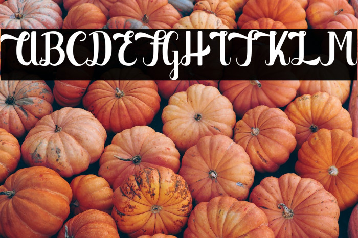 The Migare Example 2