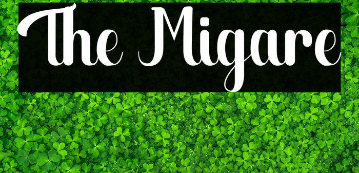 The Migare Example 1