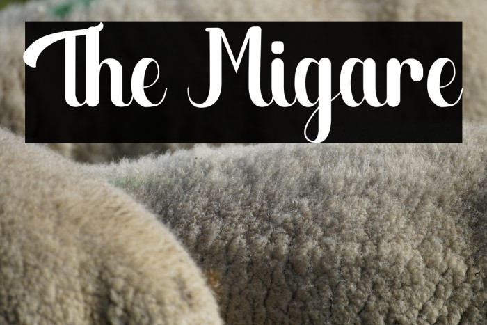 The Migare Example 3