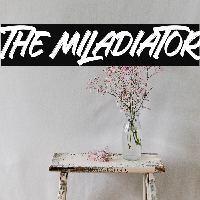 The Miladiator Example 1