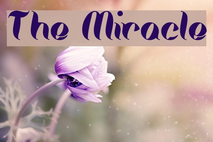 The Miracle Font examples
