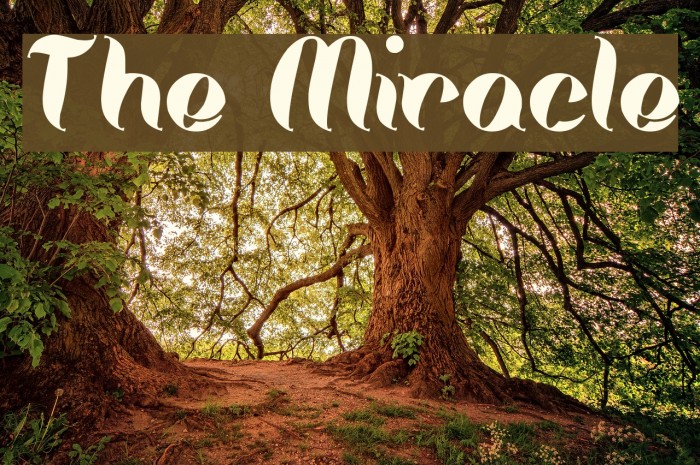 The Miracle Font examples