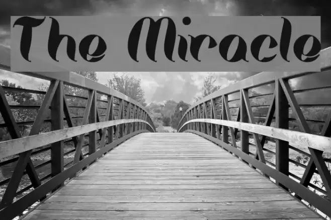 The Miracle Schriftart examples