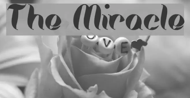 The Miracle Schriftart examples