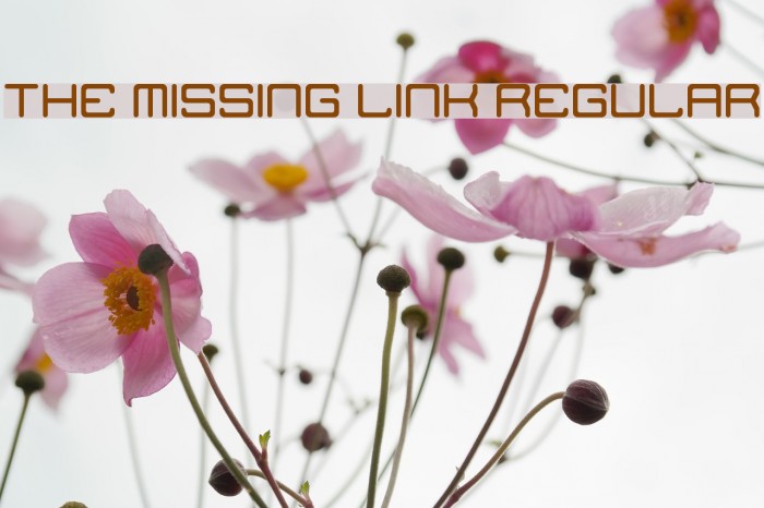 The Missing Link Regular Fonte examples