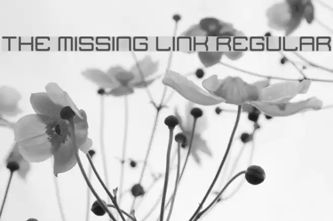 The Missing Link Regular Font examples