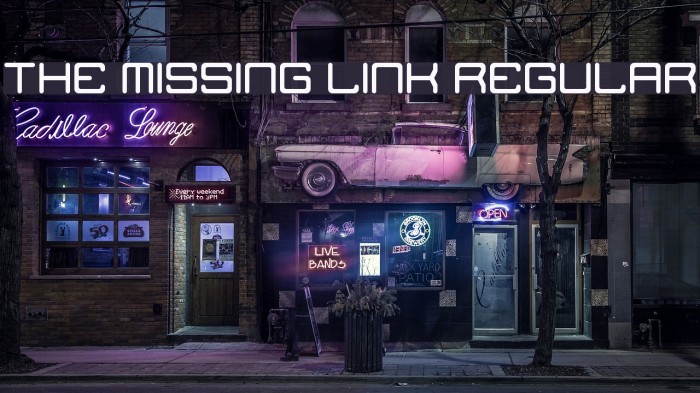 The Missing Link Regular Fonte examples