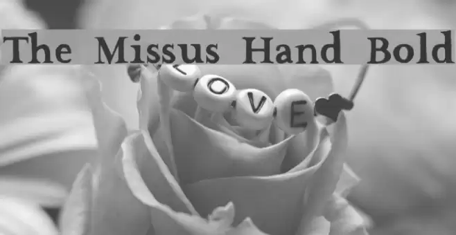 The Missus Hand Bold Font examples