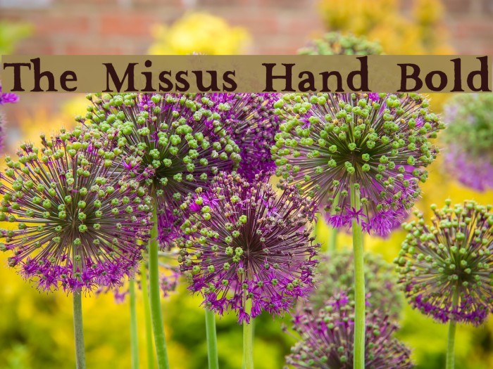 The Missus Hand Bold Font examples