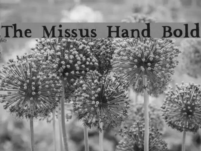 The Missus Hand Bold Font examples