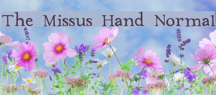 The Missus Hand Normal Font examples