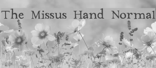 The Missus Hand Normal Font examples