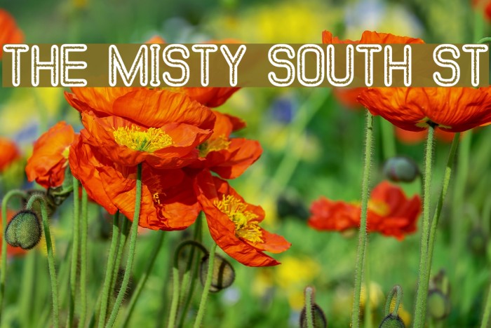 The Misty South St Font examples