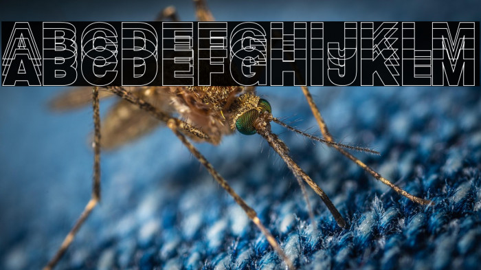 The Modern Chaos Example 3