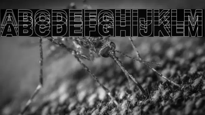 The Modern Chaos Font examples