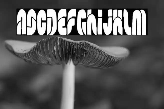 The Modern Family Empire Font examples