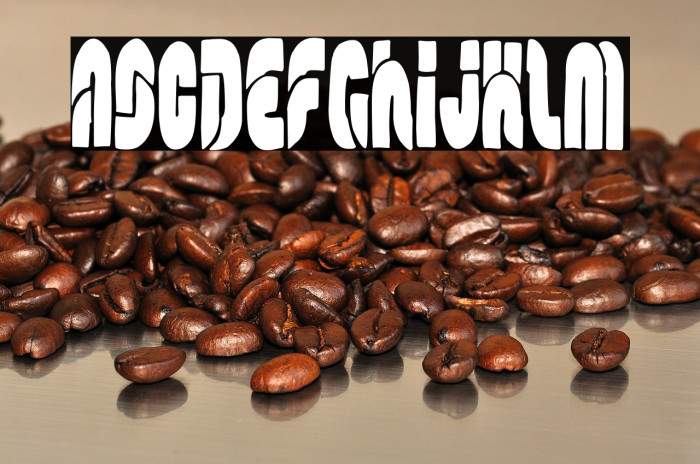 The Modern Family Empire Example 3