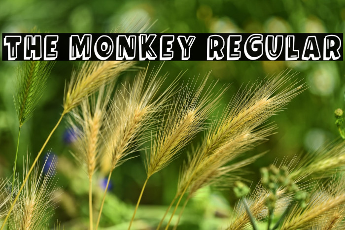 The Monkey Regular Example 1