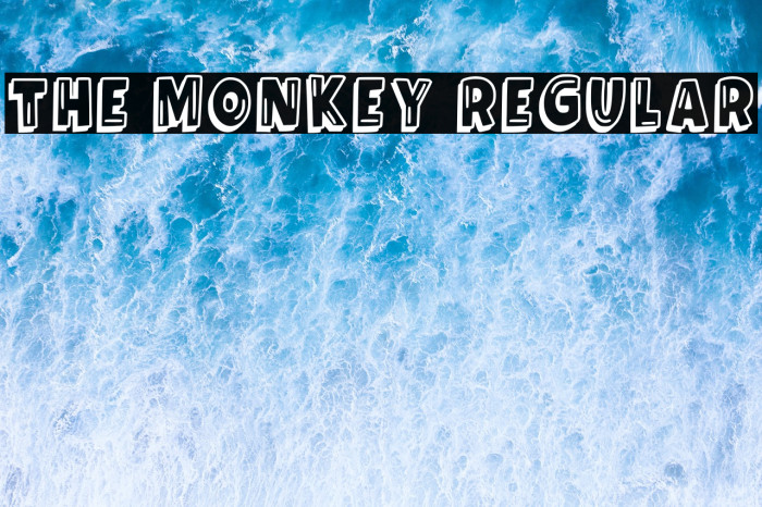 The Monkey Regular Example 2