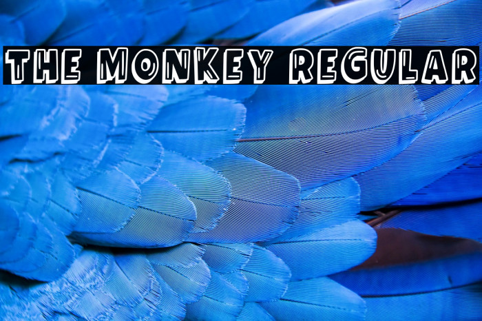 The Monkey Regular Example 3