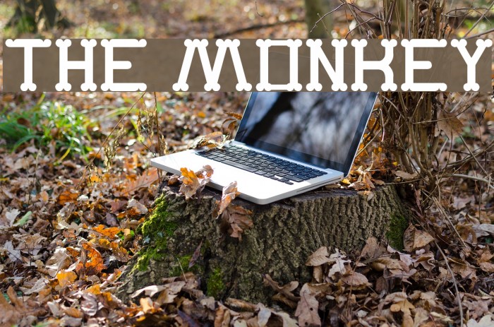 The Monkey Font examples